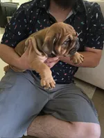 processed/42ef1a85-c441-4819-89e8-14e154c33b66/listing/f4c886e1-42b1-4a68-9327-e1e88f830878/cb1a0745-a8d7-4f5c-959c-8cbd8d1bf483