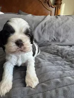 processed/42f87b74-3818-40bf-9902-485d23189506/listing/92e45aa7-bf35-4087-9de1-0fd80073a36f/3f58ccad-8e59-42a6-92a4-4604756f9d3a