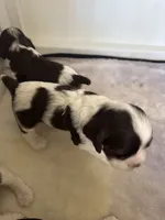 processed/42f87b74-3818-40bf-9902-485d23189506/listing/92e45aa7-bf35-4087-9de1-0fd80073a36f/961fb0d2-9444-45c0-886d-351575357d71