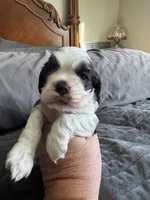 processed/42f87b74-3818-40bf-9902-485d23189506/listing/92e45aa7-bf35-4087-9de1-0fd80073a36f/a4770cf2-4abd-4da8-b73d-01a79922f4f2