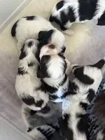 processed/42f87b74-3818-40bf-9902-485d23189506/listing/92e45aa7-bf35-4087-9de1-0fd80073a36f/fd37bc82-362f-4982-98a2-7a88483a9a4c