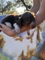 processed/43068a8a-ba2f-4379-91b0-839f6b5dd4d6/facility/47f6180a-0ce6-43c1-92a6-0518bbee84b5