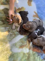 processed/43068a8a-ba2f-4379-91b0-839f6b5dd4d6/facility/4fa3c968-7858-4565-86e3-79f3cc64f6ab