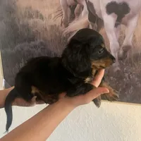 processed/43068a8a-ba2f-4379-91b0-839f6b5dd4d6/facility/f8f06265-4ca7-4845-acbf-7c9e42617d14