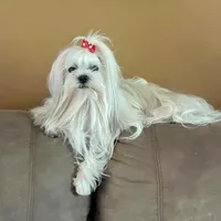 processed/430770d1-a7da-40f9-92d3-2b2141837fce/facility/06ba2c9d-036d-471f-bd9c-076f00498fa0