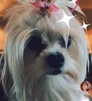 processed/430770d1-a7da-40f9-92d3-2b2141837fce/facility/4b69652a-fa6b-41f6-9fe1-dea5cb2552d6