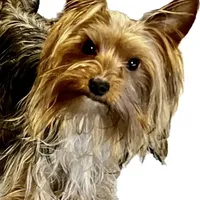 processed/430770d1-a7da-40f9-92d3-2b2141837fce/facility/54deba6e-a289-4407-bc86-797a07059b57