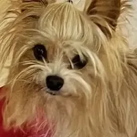 processed/430770d1-a7da-40f9-92d3-2b2141837fce/facility/82954e91-64c1-475a-a3fb-d0930a4f3636