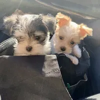 processed/430770d1-a7da-40f9-92d3-2b2141837fce/facility/99c93b7f-df51-4087-80e3-5d4fd0a0b2c0