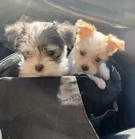 processed/430770d1-a7da-40f9-92d3-2b2141837fce/facility/99c93b7f-df51-4087-80e3-5d4fd0a0b2c0