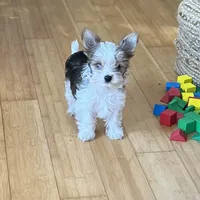 processed/430770d1-a7da-40f9-92d3-2b2141837fce/facility/9a3b0783-957c-480c-8fc3-834705b91e10