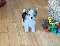 processed/430770d1-a7da-40f9-92d3-2b2141837fce/facility/9a3b0783-957c-480c-8fc3-834705b91e10