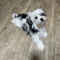 processed/430770d1-a7da-40f9-92d3-2b2141837fce/facility/e578749a-843c-4b0f-962a-116c39b43dc2