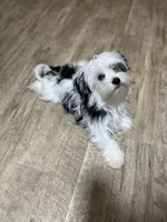 processed/430770d1-a7da-40f9-92d3-2b2141837fce/facility/e578749a-843c-4b0f-962a-116c39b43dc2