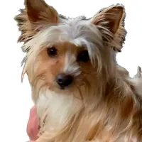 processed/430770d1-a7da-40f9-92d3-2b2141837fce/facility/f448750b-9716-442a-a3e4-45cae81099ad