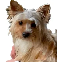 processed/430770d1-a7da-40f9-92d3-2b2141837fce/facility/f448750b-9716-442a-a3e4-45cae81099ad