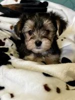 processed/430770d1-a7da-40f9-92d3-2b2141837fce/listing/0ac0a825-be99-417f-ae7f-2976ac4aa490/0b13c689-e502-4163-bb97-1af362fcb83e