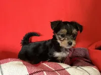 processed/430770d1-a7da-40f9-92d3-2b2141837fce/listing/0ac0a825-be99-417f-ae7f-2976ac4aa490/17aee2e9-d4cf-4a80-9c4a-27825b32240e