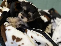 processed/430770d1-a7da-40f9-92d3-2b2141837fce/listing/2135d248-1059-40a6-9dc9-d094ce2d7ca1/0532c348-5634-4745-99b1-f25af2d11a21