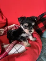 processed/430770d1-a7da-40f9-92d3-2b2141837fce/listing/2135d248-1059-40a6-9dc9-d094ce2d7ca1/0f0cae27-2f55-45af-a160-53e2d7b8b5cb