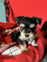 processed/430770d1-a7da-40f9-92d3-2b2141837fce/listing/2135d248-1059-40a6-9dc9-d094ce2d7ca1/756276b5-a043-4c36-a69d-86f4a41baef5