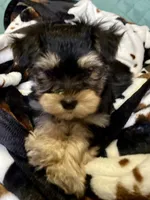 processed/430770d1-a7da-40f9-92d3-2b2141837fce/listing/2135d248-1059-40a6-9dc9-d094ce2d7ca1/f20ed72f-4ea7-4c18-a903-414bb887b89f