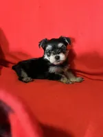 processed/430770d1-a7da-40f9-92d3-2b2141837fce/listing/2135d248-1059-40a6-9dc9-d094ce2d7ca1/fc452178-adf5-4133-9e7a-815f8c1fe2e0