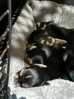 processed/430770d1-a7da-40f9-92d3-2b2141837fce/listing/3bf81d1f-6dd2-403b-a938-e0fe681c8287/11cc3b56-c8ad-46dd-b353-ca91bf7d2a5c