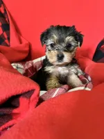 processed/430770d1-a7da-40f9-92d3-2b2141837fce/listing/3bf81d1f-6dd2-403b-a938-e0fe681c8287/481c0342-bfbf-4170-8af2-31cb467984fd