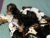 processed/430770d1-a7da-40f9-92d3-2b2141837fce/listing/3bf81d1f-6dd2-403b-a938-e0fe681c8287/612e46ce-7c8d-446f-99ea-6aecc428b6bd