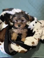 processed/430770d1-a7da-40f9-92d3-2b2141837fce/listing/3bf81d1f-6dd2-403b-a938-e0fe681c8287/84bcb3c2-8f80-4e72-a38a-764c3d7f2935