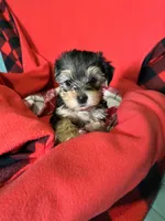 processed/430770d1-a7da-40f9-92d3-2b2141837fce/listing/3bf81d1f-6dd2-403b-a938-e0fe681c8287/eae34c1a-5b32-4676-a587-61c74e898679