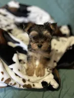 processed/430770d1-a7da-40f9-92d3-2b2141837fce/listing/7ab318fc-3c35-464f-bcdd-63000875f870/0f13882f-30c6-48aa-ad90-f7618b73b702