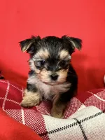 processed/430770d1-a7da-40f9-92d3-2b2141837fce/listing/7ab318fc-3c35-464f-bcdd-63000875f870/a7a41540-b284-4269-b41c-6a28ce07916d