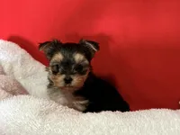 processed/430770d1-a7da-40f9-92d3-2b2141837fce/listing/7ab318fc-3c35-464f-bcdd-63000875f870/ecac2fbe-6da8-4ccc-80c1-ae3972ed68a0