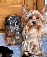 processed/430770d1-a7da-40f9-92d3-2b2141837fce/listing/80282917-28ae-4110-bcb3-0f02be7d5f33/25e0756d-86d1-42d5-b5eb-85aa6c8420cc