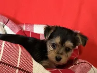 processed/430770d1-a7da-40f9-92d3-2b2141837fce/listing/80282917-28ae-4110-bcb3-0f02be7d5f33/329da3e4-ebaa-408e-8c34-2b768c361d1c