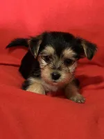 processed/430770d1-a7da-40f9-92d3-2b2141837fce/listing/80282917-28ae-4110-bcb3-0f02be7d5f33/400c70c0-7e4a-4ae6-b6d6-8c06b4aa56bd