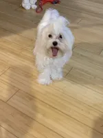 processed/430770d1-a7da-40f9-92d3-2b2141837fce/listing/80282917-28ae-4110-bcb3-0f02be7d5f33/95a3e824-3a64-408a-ac45-d7fdda1e8e4b