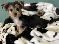 processed/430770d1-a7da-40f9-92d3-2b2141837fce/listing/80282917-28ae-4110-bcb3-0f02be7d5f33/ba3141ae-0f3c-42f6-b8f3-03faa69e10f4