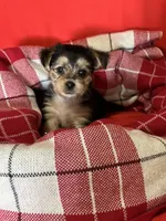 processed/430770d1-a7da-40f9-92d3-2b2141837fce/listing/80282917-28ae-4110-bcb3-0f02be7d5f33/dad189c4-2bd5-458a-ae60-399d0cd3db62