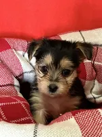 processed/430770d1-a7da-40f9-92d3-2b2141837fce/listing/80282917-28ae-4110-bcb3-0f02be7d5f33/dca591fc-53f6-46a1-8dcc-85953aed3589