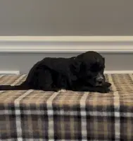 processed/430bd1b6-6842-4d37-a55a-eae3b7f43ea6/listing/574cfe9e-3c4e-476c-a3aa-02e034f2b750/1ab6a1fc-0fb7-4a16-9e48-e4b629a343b9