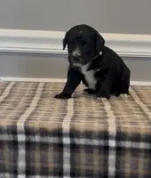 processed/430bd1b6-6842-4d37-a55a-eae3b7f43ea6/listing/574cfe9e-3c4e-476c-a3aa-02e034f2b750/35ce270e-c0e5-46d0-b3e9-b68266a87cc0