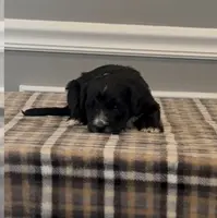 processed/430bd1b6-6842-4d37-a55a-eae3b7f43ea6/listing/574cfe9e-3c4e-476c-a3aa-02e034f2b750/fa895f6b-c4e1-43f4-b308-0315177133ad