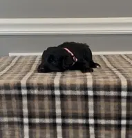 processed/430bd1b6-6842-4d37-a55a-eae3b7f43ea6/listing/7e59f7a5-3ff3-4455-9e5b-b6859783d3a5/4e309731-12c6-4ae8-b102-a34422f93f9e