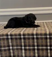 processed/430bd1b6-6842-4d37-a55a-eae3b7f43ea6/listing/7e59f7a5-3ff3-4455-9e5b-b6859783d3a5/d7381420-301d-49b7-9ba9-200f31079cd0