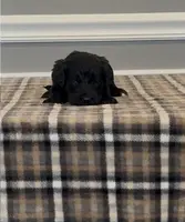 processed/430bd1b6-6842-4d37-a55a-eae3b7f43ea6/listing/7e59f7a5-3ff3-4455-9e5b-b6859783d3a5/f742b906-ade0-4c85-a6b5-9809f26a9698