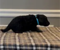 processed/430bd1b6-6842-4d37-a55a-eae3b7f43ea6/listing/b05e59ec-4495-46b1-aed6-b2398aefdb3e/e7431ee2-7e6b-46f7-aca6-b8f93fbb592c