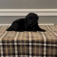 processed/430bd1b6-6842-4d37-a55a-eae3b7f43ea6/listing/dc25d2ad-e60a-4409-9ae0-353370a00b6a/271cf8b9-8c41-43f5-92b7-b6885a4a6f06